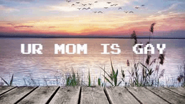 a wooden dock overlooking a body of water with the words ur mom is gay written on it
