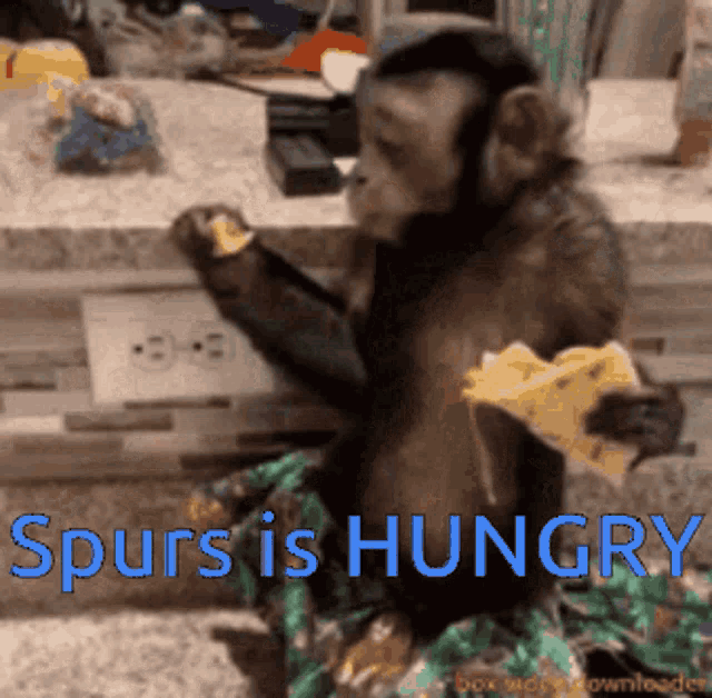 Spurs Legacy Spurs_legacy GIF - Spurs Legacy Spurs_legacy Hungry GIFs