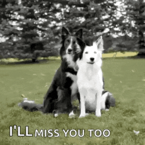 Youre So Sweet Miss You Too GIF - Youre So Sweet Miss You Too Miss You GIFs