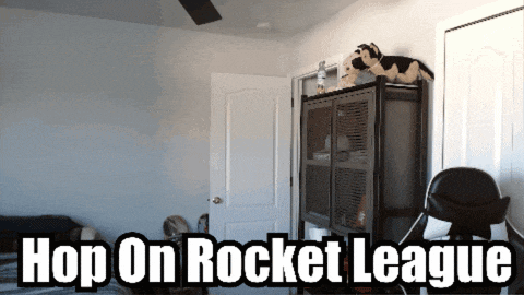 a sign that says hop on rocket league in a bedroom