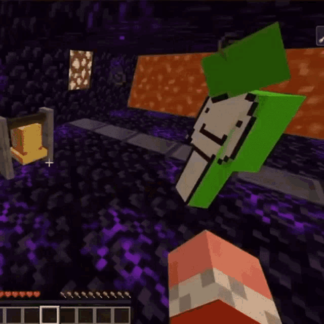 a green minecraft character is standing next to a pig in the endgame .