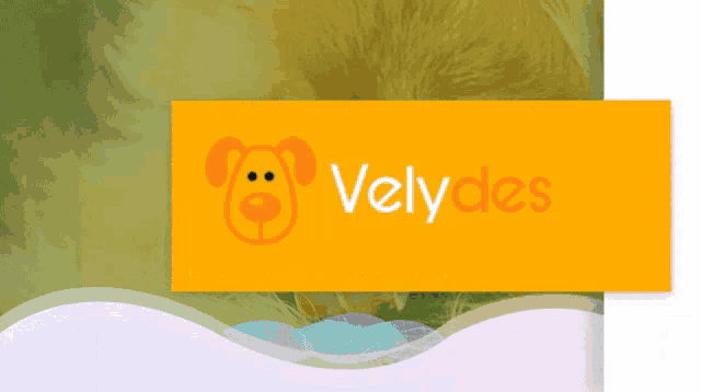 a picture of a dog is behind a yellow sign that says velydes