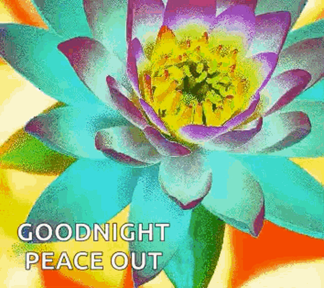 a colorful lotus flower with the words goodnight peace out written below it