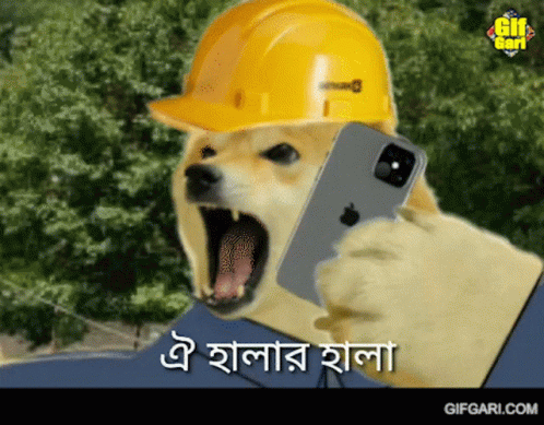 Gifgari Bangla Doge GIF - Gifgari Bangla Doge Ayh GIFs
