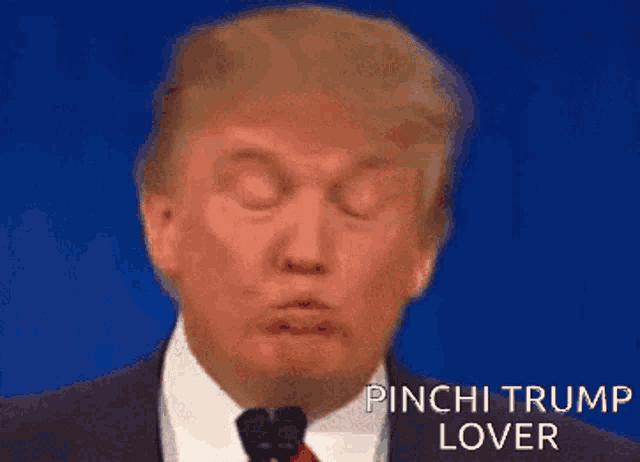 a close up of donald trump 's face with pinchi trump lover written below him