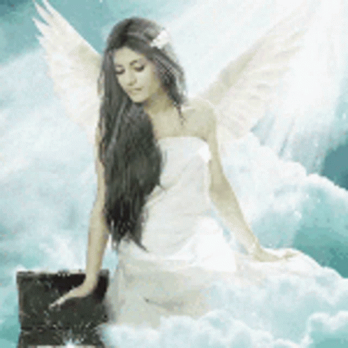 Angel Fallen Angel GIF - Angel Fallen Angel Wing GIFs