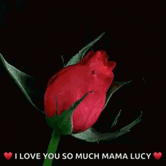 a red rose with the words " i love you so much mama lucy "