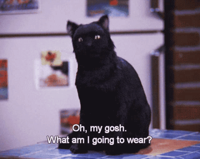 a black cat is sitting on a counter with the words oh my gosh what am i going to wear