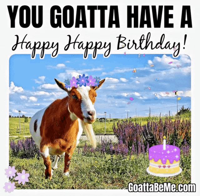 Birthday Goats GIF - Birthday Goats Celebrate GIFs