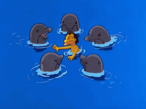 Dolphin Picking GIF - Dolphin Picking On GIFs
