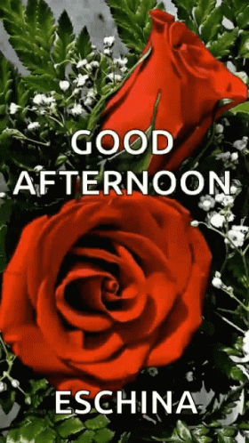 Good Afternoon Sparkles GIF - Good Afternoon Sparkles Flowers GIFs
