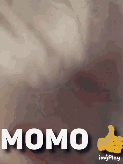 Momo Nice GIF - Momo Nice GIFs