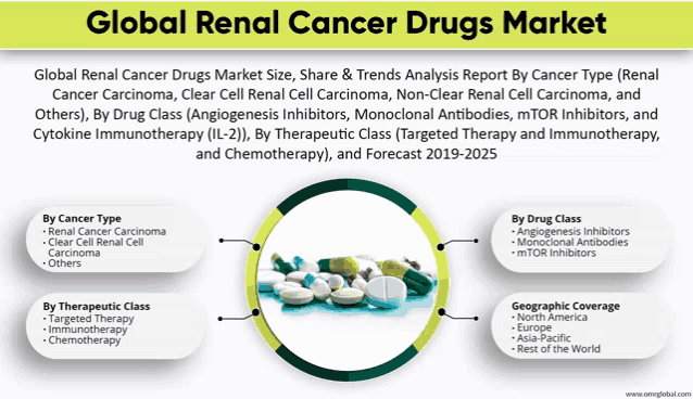 global renal cancer drugs market size share and trends analysis report by cancer type
