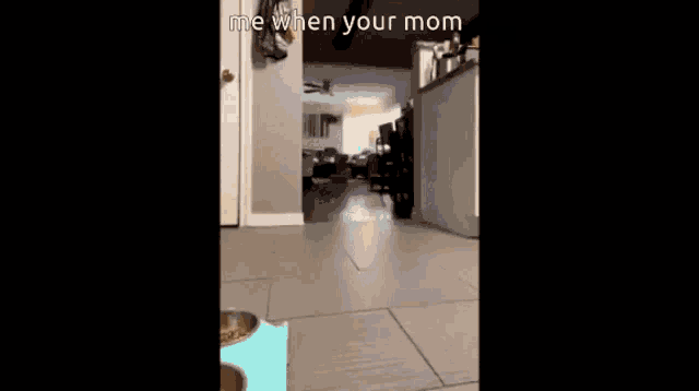 a cat 's paw is visible in a video that says ' me when your mom '