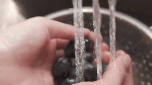 Hand Washing The Blueberry With Water Two Plaid Aprons GIF - Hand Washing The Blueberry With Water Two Plaid Aprons Rinsing The Blueberry GIFs