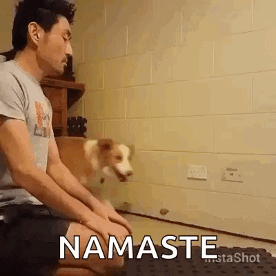 Namaste Dog GIF - Namaste Dog Human GIFs