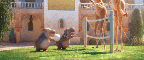 Volleyball GIF - Zootopia Volleyball GIFs