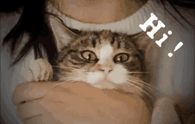 a woman is holding a cat with the word hi written above it
