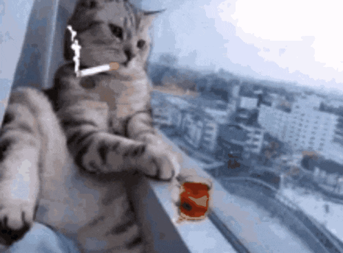 a cat smoking a cigarette while holding a can of ketchup