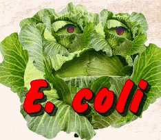 Ecoli Romaine Lettuce GIF - Ecoli Romaine Lettuce No Salad GIFs