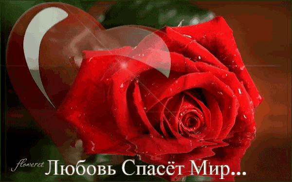 a picture of a red rose and a heart with the words floweret in the bottom right