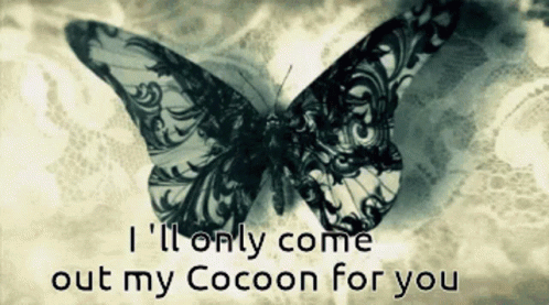 Cocoon Love GIF - Cocoon Love GIFs