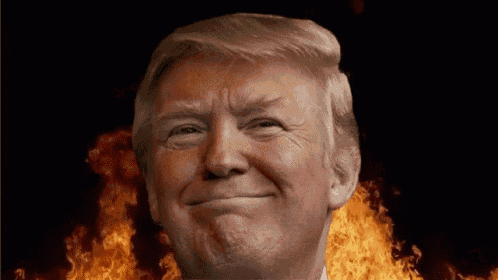 Trump Donald GIF - Trump Donald Youre GIFs
