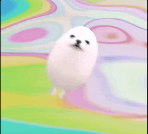 a small white dog is standing on a colorful surface .