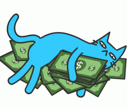 Cat Crazy Blue Cat GIF