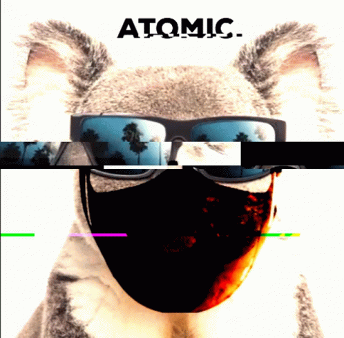 Atomic Koala GIF - Atomic Koala Glitch GIFs