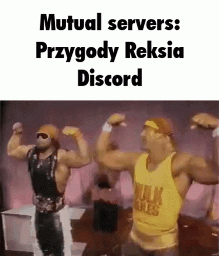 Reksio Mutual Servers GIF - Reksio Mutual Servers Wwe GIFs