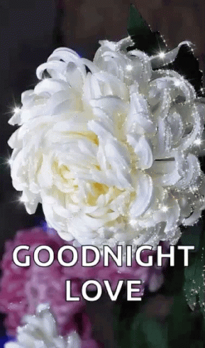 Goodnight Love Sparkles GIF - Goodnight Love Sparkles Flowers GIFs