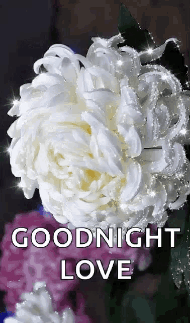 a white flower with the words `` goodnight love '' on it