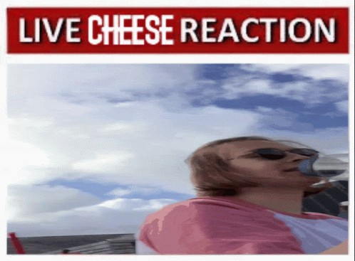 Live Cheese GIF - Live Cheese Reaction GIFs