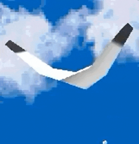 a seagull is flying in the sky with a blue background .