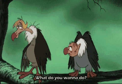 two vultures standing next to each other with the words what do you wanna do