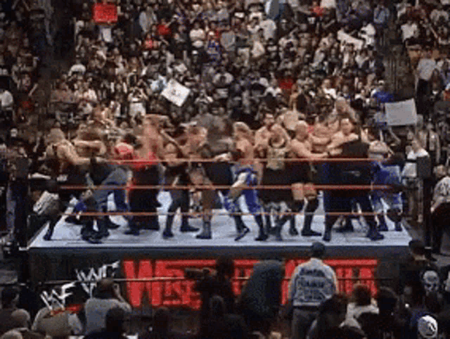 a crowd of people watching a wrestling match with a sign that says wwe