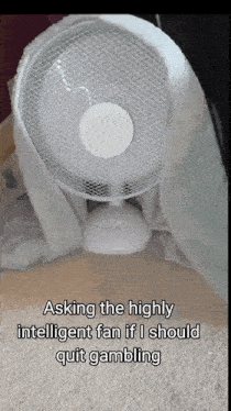 a white fan is covered in a white blanket with the caption asking the highly intelligent fan if i should quit gambling