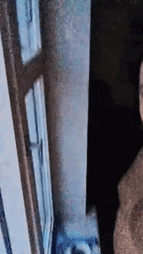 a blurry picture of a person standing in front of a door
