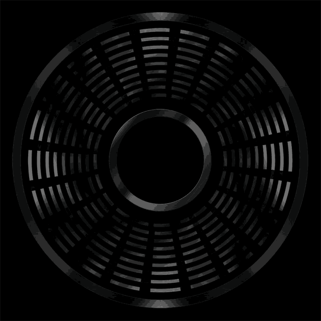 a black circular object with a circle in the center