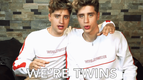 Were Twins Twins GIF - Were Twins Twins Pair GIFs