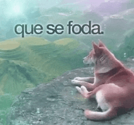 a dog is laying on a rock with the words `` que se foda '' written on it .