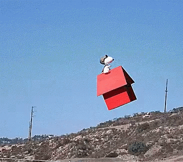 Snoopy Flying GIF - Snoopy Flying Hurricane Michael GIFs