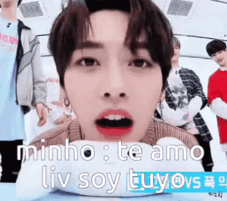a close up of a person 's face with the words `` minho te amo liv soy tuyovs '' written on it .