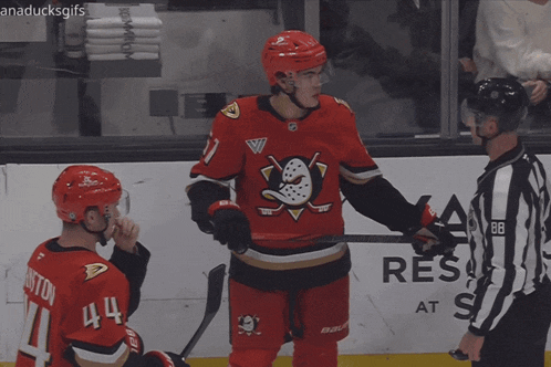 a hockey player with the number 44 on their jersey