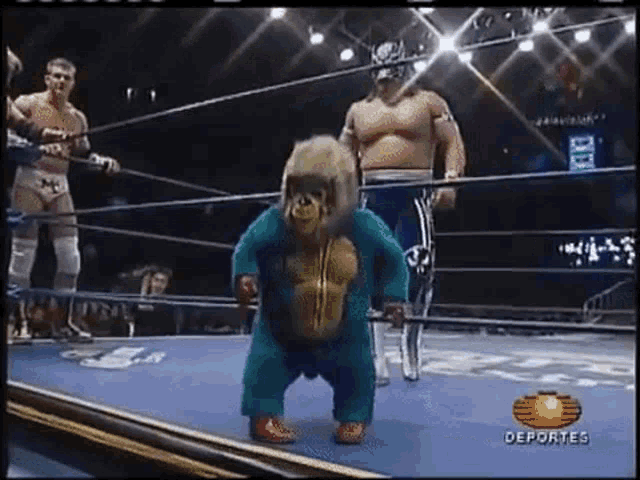 Monkey Wrestling GIF - Monkey Wrestling Ring GIFs