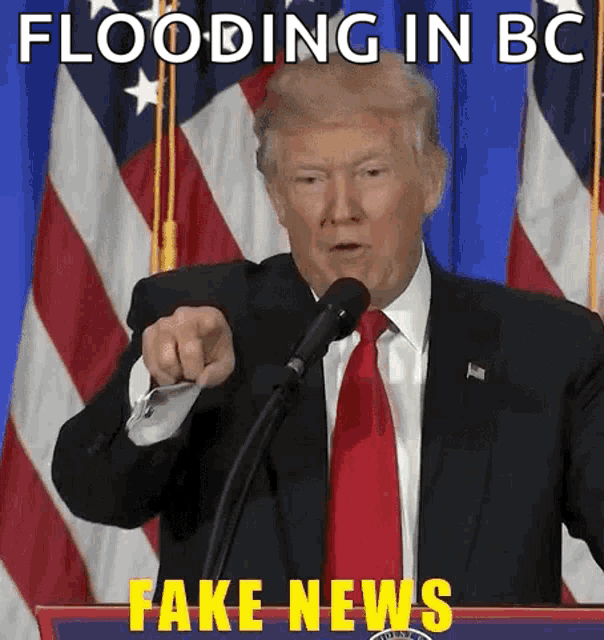 donald trump is giving a speech in front of an american flag and says fake news