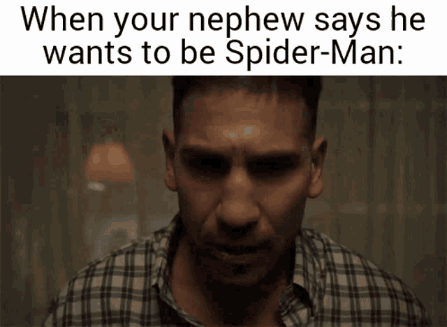 a man in a plaid shirt says when your nephew says he wants to be spider-man