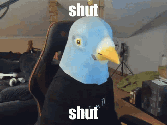 Shut Up Shut GIF - Shut Up Shut Pigeon GIFs