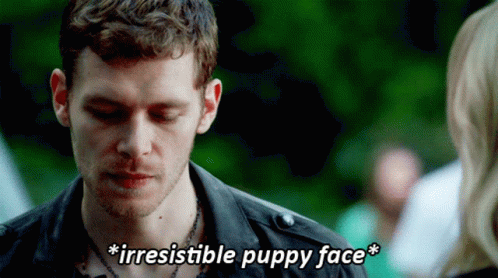 Klaus Michaelson Puppy Face GIF